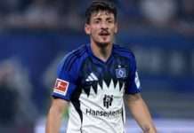 გოჩოლეიშვილის მძიმე მარცხი „ჰოფენჰაიმში“, ზივზივაძე არ გამოჯანმრთელებულა